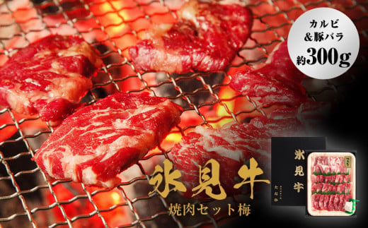 氷見牛焼肉セット梅（カルビ＆豚バラ約300g）（3月お届け）