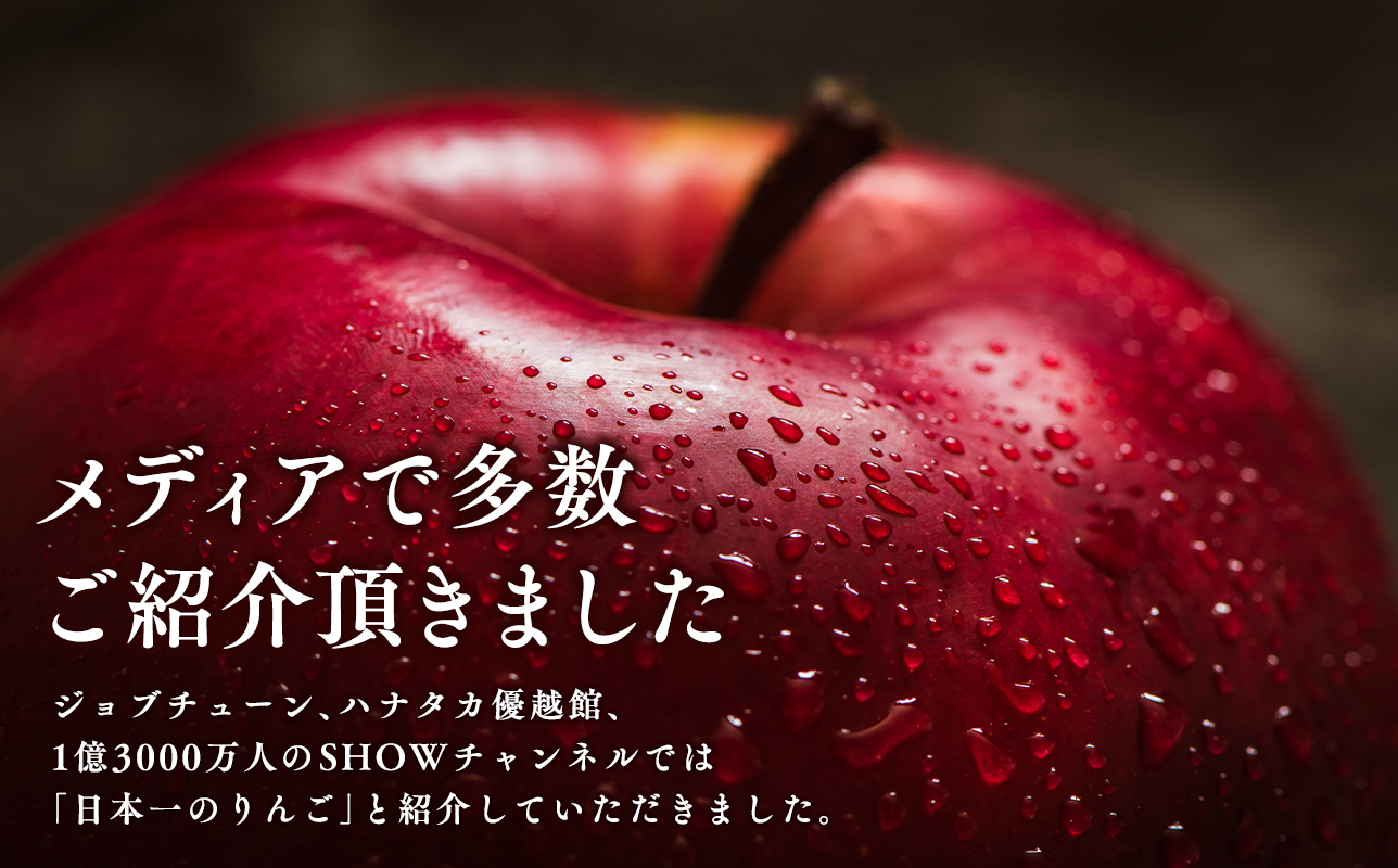 【1月発送】 親子三代最高位のサンふじ 約3kg【全国ふじコンテスト最高賞受賞農園・平川市広船産りんご】