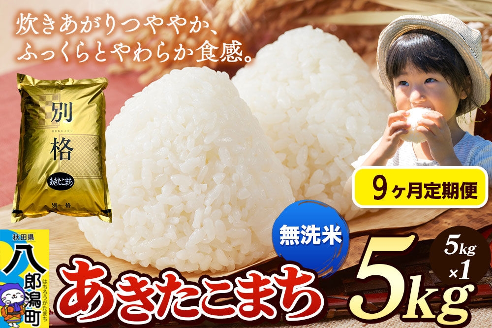 《令和8年産 新米》《定期便9ヶ月》米 あきたこまち 5kg【無洗米】秋田県産 [新米 米 コメ 無洗米 あきたこまち おいしい 美味しい 安全 自然の恵み]