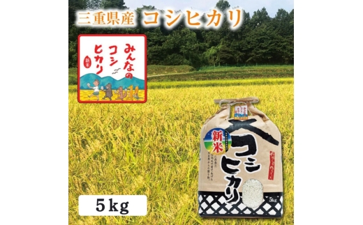 【選べる精米率】令和7年産 三重県産 コシヒカリ 5kg［白米 玄米 5分つき米 7分つき米]　玄米
