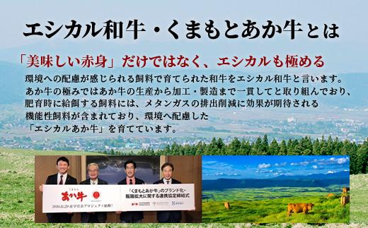 【エシカル和牛】くまもとあか牛【あか牛の極み】カタ薄切り 200g×3 (計 600g) 肩 ロース 小分け 熊本 あか牛 牛肉 赤身 すき焼き しゃぶしゃぶ 焼肉 和牛 国産 SDGs 033-05