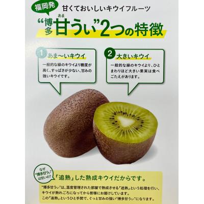 ふるさと納税 広川町 【2026年11月上旬発送開始】甘さ溢れるキウイフルーツ博多甘うぃ計3.6kg(20〜30玉)広川町 |  | 01
