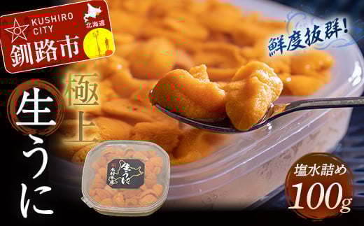 【鮮度抜群！極上生ウニ】生うに塩水詰め100g ふるさと納税 うに _F4F-3208