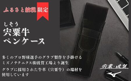 AO78　宍粟牛 ペンケース【 ペン 筆入れ ミズノテクニクス ミズノ グラブ グローブ 宍粟牛 牛革 限定 ふるさと納税限定 シンプル スマート ビジネス 就職 祝い 贈り物 プレゼント 】