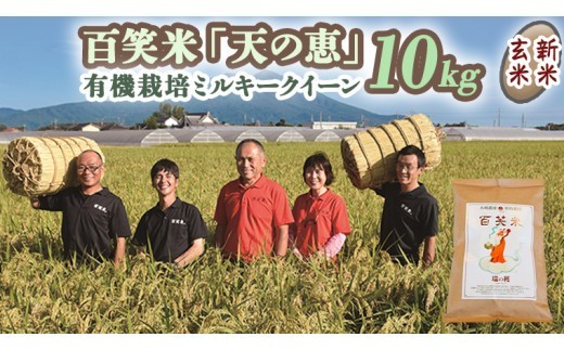 
                  玄米 有機栽培 ミルキークイーン 天の恵 10kg R8年産 米 コメ 茨城県 新米 玄米 げんまい 10kg 先行予約 令和8年産 米 お米 数量限定 ご飯 ごはん コメ 白米 ライス 米10kg 10キロ 銘柄米 茨城県 新生活 応援 kome okome 茨城県産 国産 産地直送 ※ 新米予約 関東 茨城 筑西
                