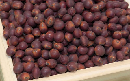 赤大豆珈琲 ドリップバッグ 10個入　【一般社団法人クラッシーノこうし】[AYAB005]