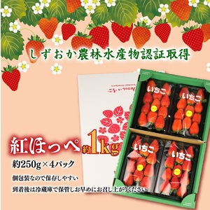 【 期間限定 】苺 紅ほっぺ 1kg 苺