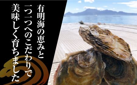 竹崎産 ブランド生牡蠣「ゆり姫」3kg（ナイフ付き） / 佐賀県 / 宗徳丸 [41ATAF003]