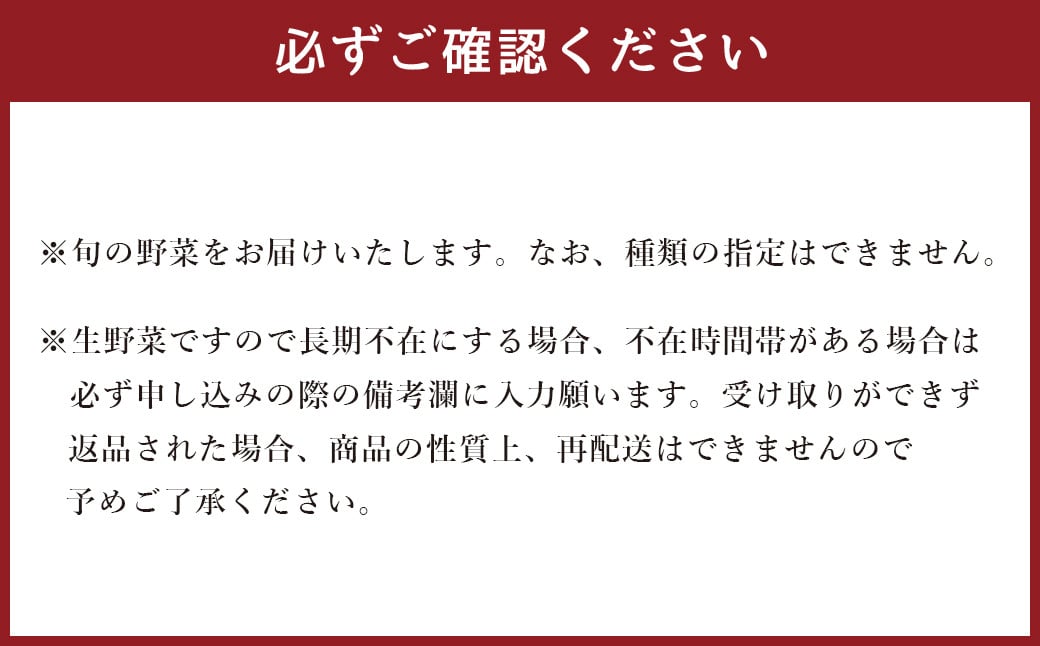 生産者応援 採れたて新鮮 旬のお野菜 詰め合わせセット