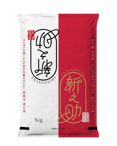 新之助 先行予約 新潟県三条産新之助 5kg×1袋 令和7年産新之助 精米 新潟県産新之助