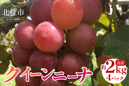 【2025年先行予約】クイーンニーナ　約500g×4パック  ぶどう クイーンニーナ 約500g×4パック 山梨県産 ブドウ フルーツ 果物 赤ぶどう 低農薬 期間限定 数量限定 【2025年先行予約】 冷蔵 北杜市