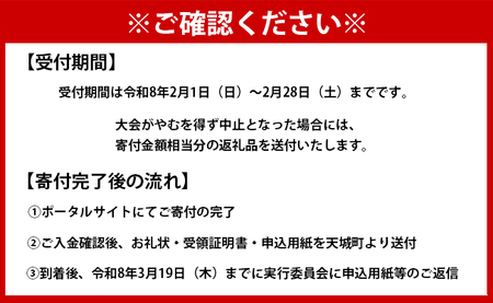 【数量限定】第39回！トライアスロン大会ＩＮ徳之島　大会参加券 トライアスロン スポーツ イベント