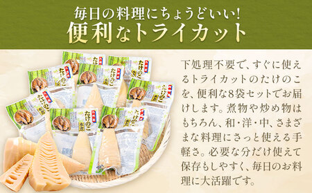 たけのこ 水煮 カットタイプ  計960g たけのこ
