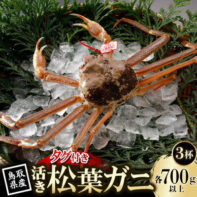 【ふるさと納税】【先行予約】鳥取県産 タグ付き 活 松葉がに 700g×3杯(中村商店)26年12月・27年1月発送【配送不可地域：離島・北海道・沖縄県・東北・信越、北陸】【1692721】