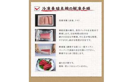 本マグロ（養殖） トロ＆赤身セット 3kg【１ヶ月以内に発送】【配達日指定不可】【nks112】