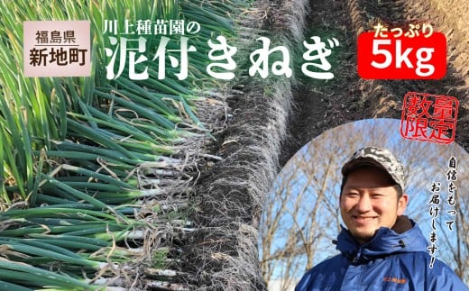 新地町産 泥付き長ネギ 約5kg 1箱 | 野菜 やさい 食品 人気 おすすめ 送料無料 ねぎ ネギ 葱 長ねぎ お取り寄せ 福島県 新地町 白ねぎ 鍋