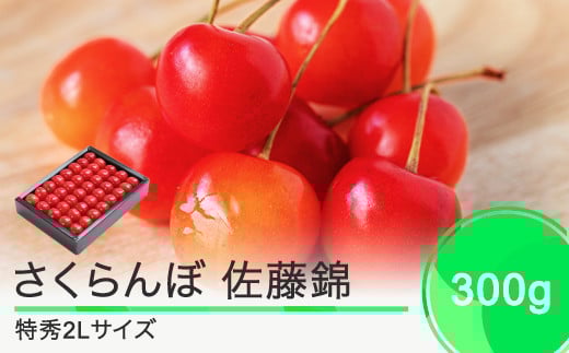 
先行予約 さくらんぼ 佐藤錦 特秀2Lサイズ プレゼント ギフト 化粧箱入 300g 2025年産 令和7年産 山形県産 ns-snt2x300
