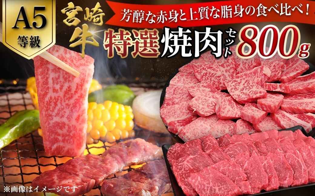 
            【A5等級】宮崎牛 特選焼肉セット 計800g（赤身・霜降り） 宮崎牛 ブランド牛 和牛 牛肉 焼肉 特選和牛 霜降り A5 宮崎県 小林市
          