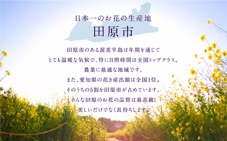お花屋さんのタハナＢＯＸ