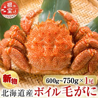 ふるさと納税 根室市 根室海鮮市場<直送>ボイル毛がに600〜750g×1尾 B-28124