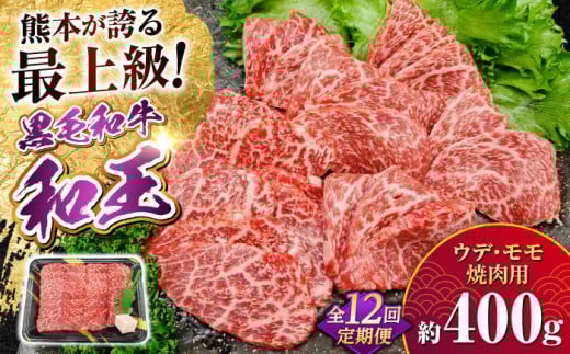 【全12回定期便】熊本県産 A5等級 黒毛和牛 和王 ウデ・モモ 焼肉用 約400g 計約4.8kg【帝神志方ミート 株式会社】 牛 肉 うで ウデ 腕 モモ もも 焼き肉 バーベキュー A5 和牛 国産 熊本 定期便 [AYCH022]