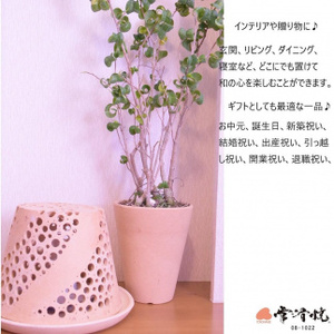 陶華光ランプシェ－ド　螺旋 (本体＋照明キット） 陶器 常滑焼 手作り ランプシェード ランプ 照明 灯り 癒し リラックス 幻想的 かわいい 玄関 リビング ダイニング 寝室 間接照明 日用品 雑貨