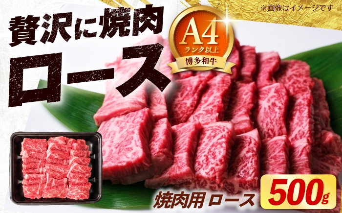 
                  博多和牛 牛肉 焼肉 ロース 500g《築上町》【肉のくまもと屋】 [ABEZ074]
                