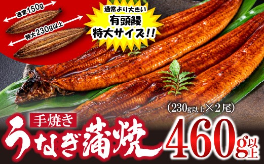 
                  〈いろは〉特大サイズ 有頭うなぎ蒲焼 国産 2尾(460g以上) [M1023] ウナギ 鰻 炭火焼き 肉厚 うな重 ランキング 土用の丑の日 鹿児島県 人気 オススメ 宮若市
                