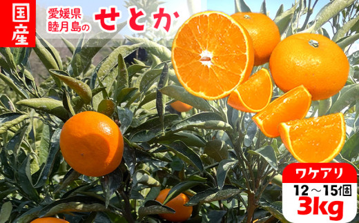【 先行受付 】3月上旬～発送予定 訳あり 家庭用 せとか 約3kg |  セトカみかん 蜜柑 柑橘 果物 くだもの フルーツ 甘い おすすめ 高級 人気 お取り寄せ グルメ ギフト 期間限定 数量限定 ご当地 愛媛三大柑橘（ 紅まどんな せとか 甘平 ） 愛媛 松山