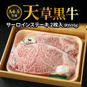 【ふるさと納税】牛肉 天草黒牛 サーロイン ステーキ 2枚入 約 500g A4 ～ 5等級 黒毛和牛 ブランド牛 バーベキュー 和牛 国産牛 肉 食品 食べ物 寺澤精肉店 九州 熊本県 天草市 お取り寄せ お取り寄せグルメ 冷凍配送 送料無料