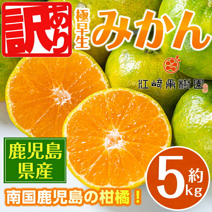【ふるさと納税】＜2025年10月上旬～11月下旬の間に発送予定＞《訳あり！数量・期間限定》鹿児島みかん（極早生系・約5kg） みかん 蜜柑 ミカン 柑橘 極早生 10kg 果物 フルーツ 果実 国産 鹿児島 訳あり 【江崎果樹園】