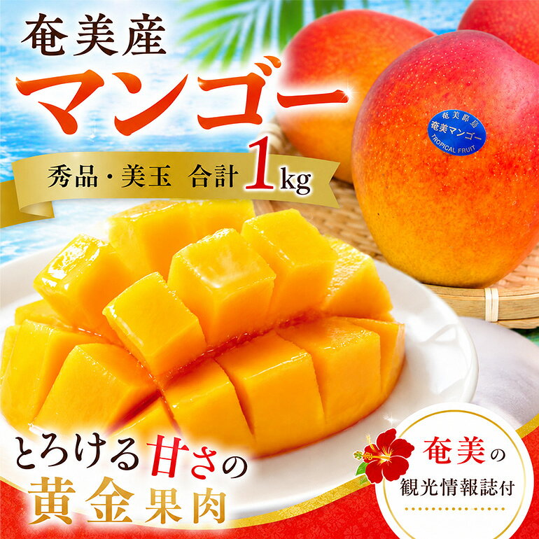 【ふるさと納税】【2026年先行予約】 マンゴー 1kg 約1～3玉 秀品 美玉 観光雑誌付き 奄美産 とろける甘さの黄金果肉 樹上完熟 完熟 奄美マンゴー のし対応可 鹿児島県 奄美市 お取り寄せ フルーツ 果物 トロピカルフルーツ 南国フルーツ ギフト 送料無料