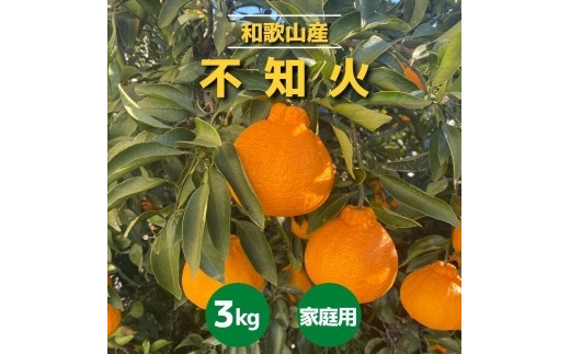 
            和歌山産　不知火 約3kg【家庭用】
          