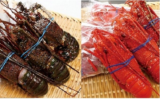 
G112 冷凍生伊勢えびと冷凍蒸し伊勢えび詰合せ

