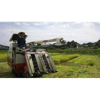 ふるさと納税 館山市 千葉県館山産コシヒカリ　精米　4.5kg |  | 02