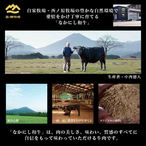 宮崎県西ノ原牧場・なかにしプレミアム和牛赤身すき焼きモモ 600g（国産 牛肉 肉 宮崎牛 黒毛和牛 お肉 すき焼き なかにし和牛 焼肉 人気 モモ 赤身)