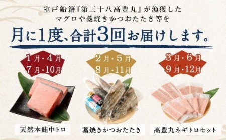 海からの贈り物！マグロとカツオの定期便【３回お届け】 海鮮 魚 刺身 マグロ カツオ 刺身 _tk005