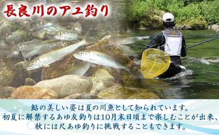 鮎釣り 長良川中央漁業協同組合 年間遊漁証 鮎釣り