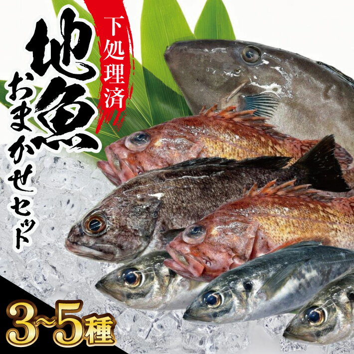 【ふるさと納税】下処理済み 地魚おまかせセット 3～5種類入り 計1kg以上 冷蔵便 ※着日指定・離島（沖縄県を含む）への発送不可 東北 山形県 酒田市 鮮魚 詰め合わせ 産地直送 セット