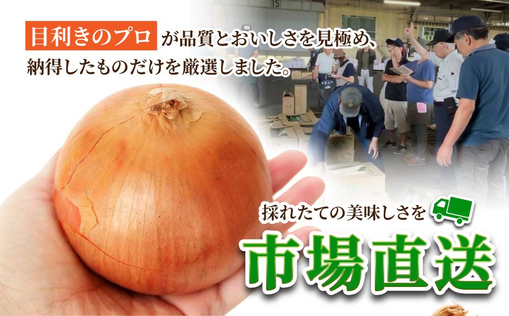 北海道岩見沢産たまねぎ 10kg (市場の目利き・岩力ブランド) | 玉ねぎ タマネギ 玉葱 オニオン 野菜【a142-006】 10kg