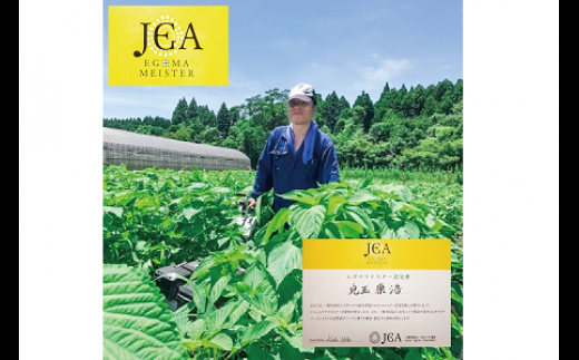 西都産えごまギフトDセット〈1.1-5〉えごま油 えごま茶 えごま煎餅