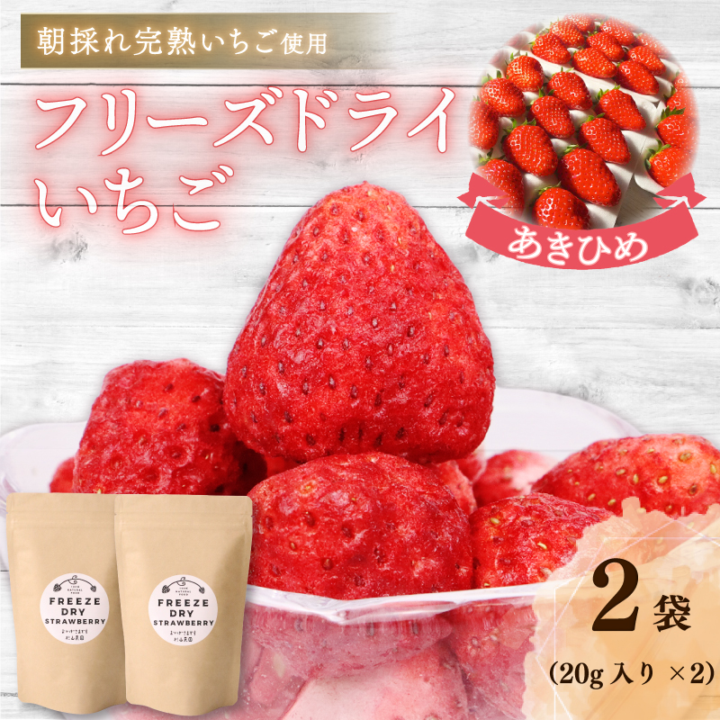おかげさまです杉山農園のフリーズドライイチゴ　40g 朝摘み ドライ いちご ドライフルーツ 果物 いちご イチゴ 苺 フルーツ くだもの スイーツ デザート ストロベリー おやつ 完熟 直送 ギフト