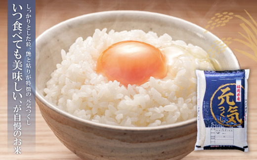 研ぐお米 福岡ブランド米3品種セット(各2kg) 精米 米 コメ 2kg×3 小袋 小分け 研ぐお米 6kg 箱入り 福岡 夢つくし ひのひかり 元気つくし 元気づくし お裾分け セット 手軽 リピー