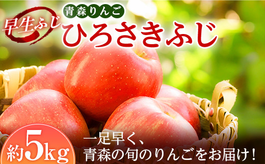 
                  青森りんご 早生ふじの代表格 ひろさきふじ 約5kg 【マルス果樹園】 ふじ りんご リンゴ 林檎 アップル 果物 くだもの フルーツ あおもり 青森 青森県 南部町 三戸 南部 3kg 以上 おすすめ F21U-241
                
