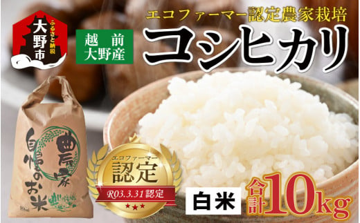 【先行予約】【令和6年産 新米】越前大野産 エコファーマー認定農家栽培 コシヒカリ10kg（白米）