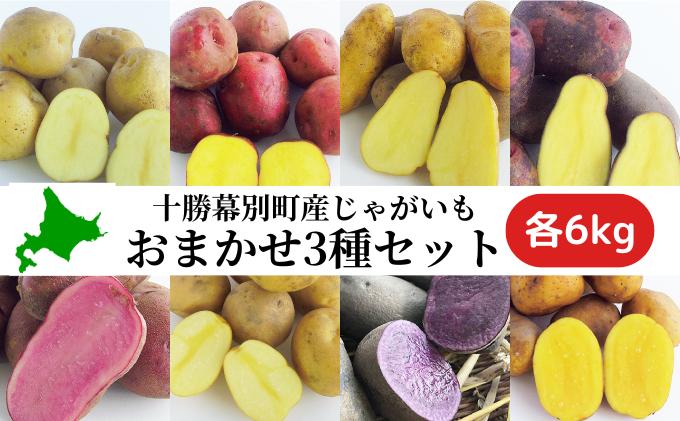 十勝幕別町産じゃがいも18kg（おまかせ3種各6kg）【渡邉農場】[2025年11月出荷開始] 野菜 ジャガイモ 