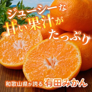 【訳あり・ご家庭用】こだわりの有田みかん 約4kg＋150g(傷み補償分)【2027年1月中に順次発送予定】 【CE-nuk148D-01】