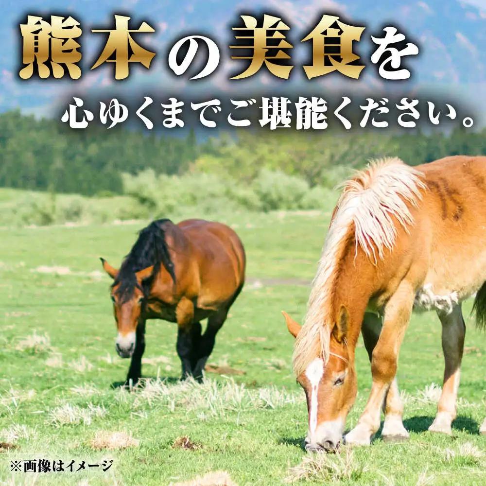 大トロ馬刺し 約300g 霜降り馬刺し ブロック 熊本県 合志市【阿蘇牧場】[AYBX099]