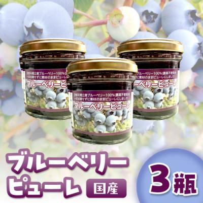 ふるさと納税 京丹後市 国産ブルーベリーピューレ　栽培期間中農薬不使用(3瓶)