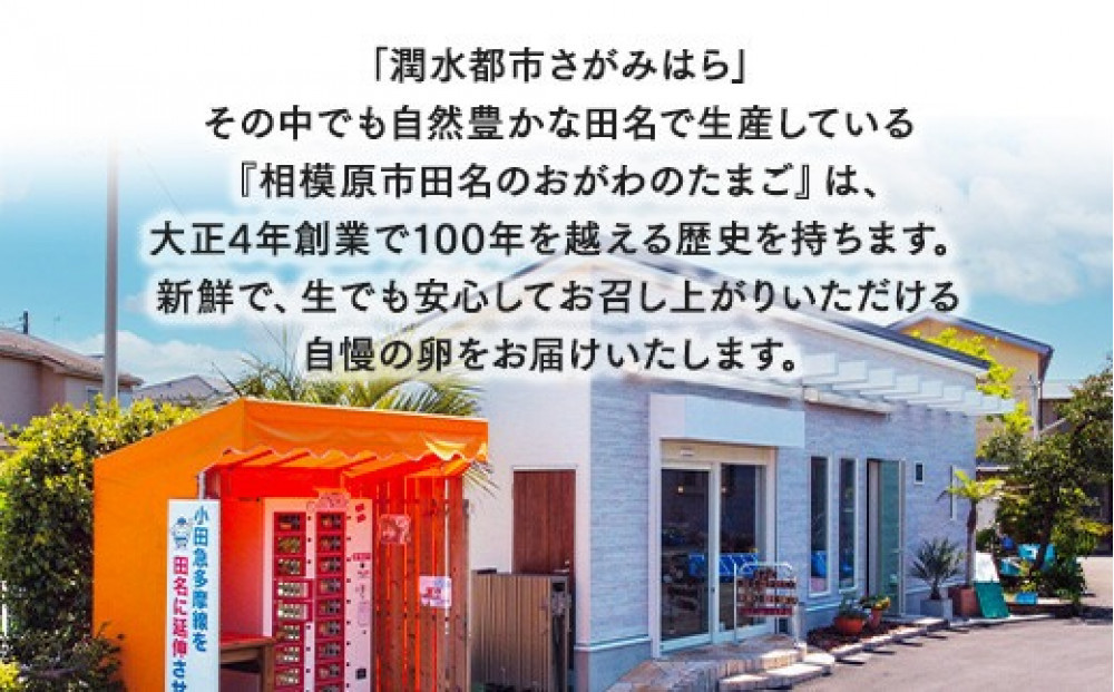 【6ヶ月定期便】【毎月前半発送】相模原市田名のおがわのたまご　ピンク卵 Mサイズ 30個(27個＋割れ補償3個)×6か月